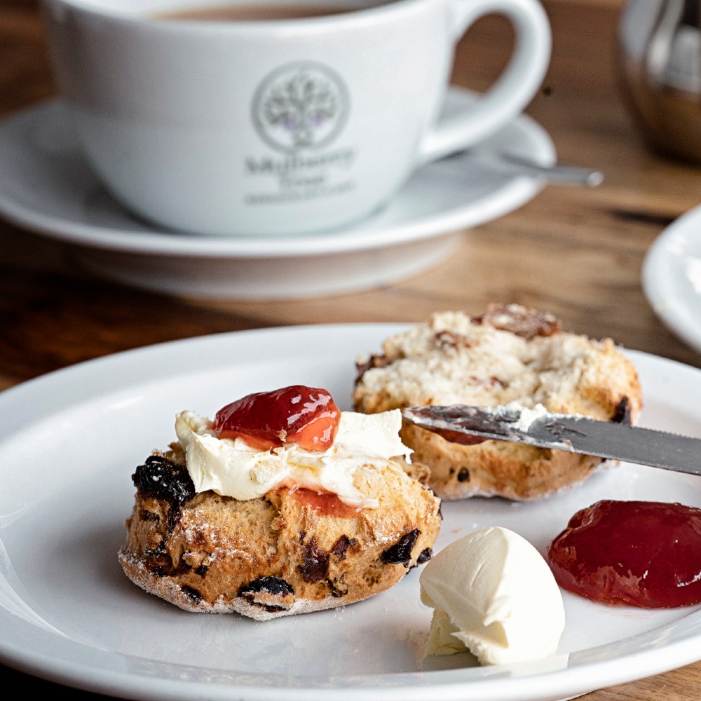 Afternoon Tea in Malvern Malvern Hills Mulberry Tree