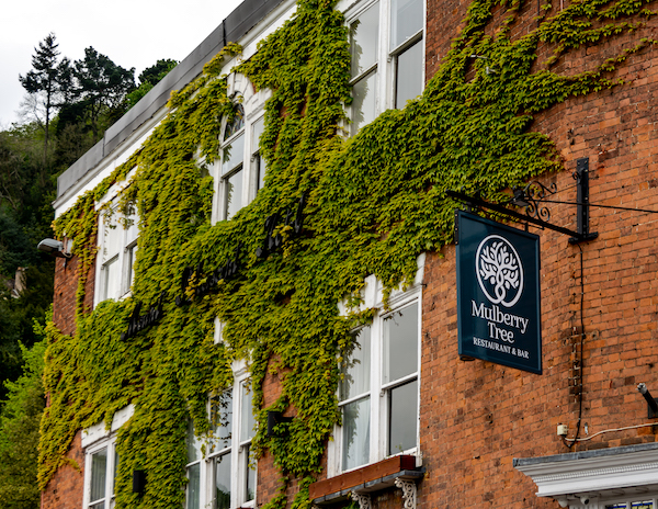 Why The Mulberry Tree Is One of the Best Places to Eat in Malvern